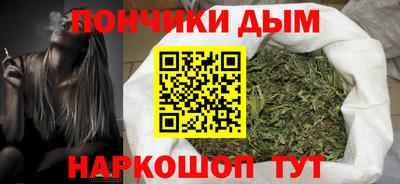 индика Кулебаки